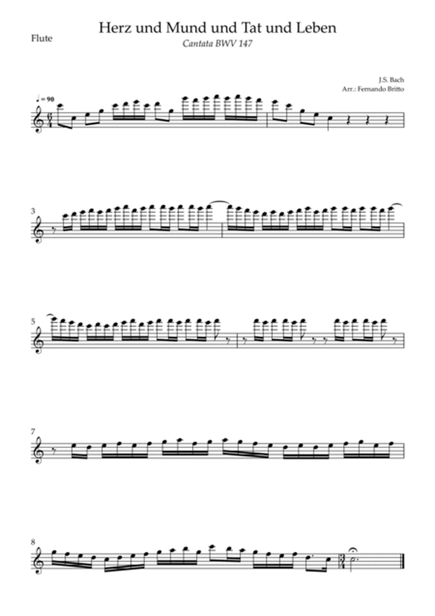 Cantata Herz und Mund und Tat und Leben (J.S. Bach BWV 147) for String Woodwind image number null