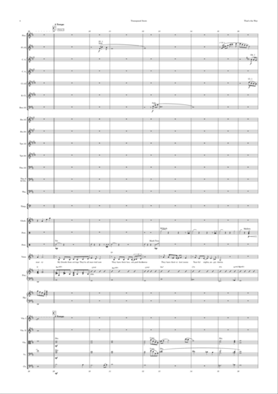 That's The Way I've Always Heard It Should Be Full Orchestra scores gallery preview page 4
