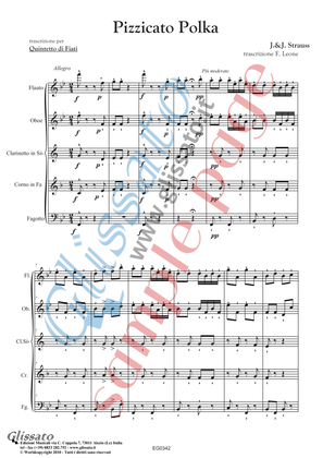 Pizzicato polka - Woodwind Quintet (score & parts)