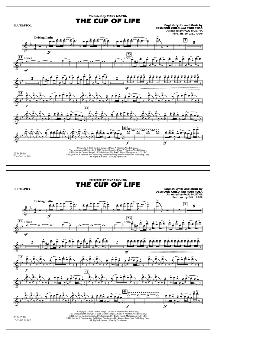 The Cup of Life - Flute/Piccolo Marching Band scores gallery preview page 1