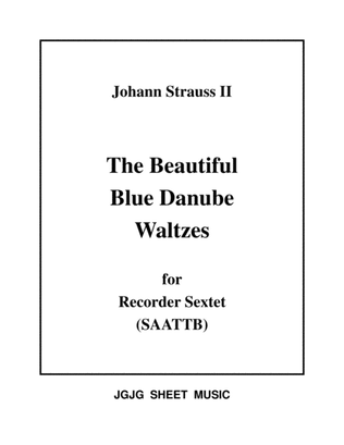 Blue Danube Waltzes for Recorder Sextet