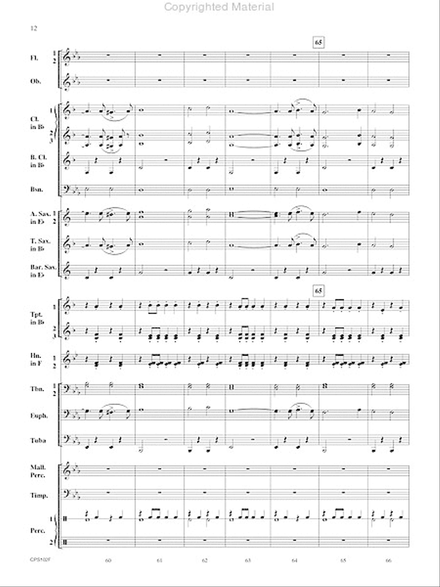 Rifle Regiment Rifle Regiment Concert Band scores gallery preview page 13