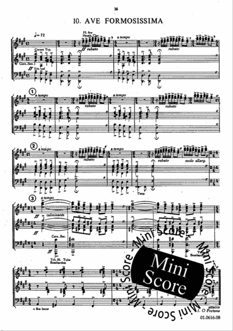 Carmina Burana Carmina Burana Concert Band scores gallery preview page 20