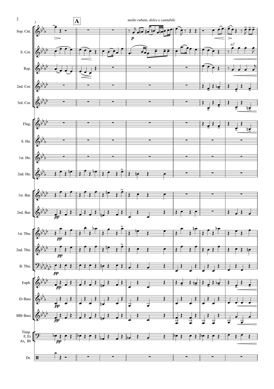 Il Dolce Suono (The Mad Scene from Lucia di Lammermoor) Brass Band scores gallery preview page 4