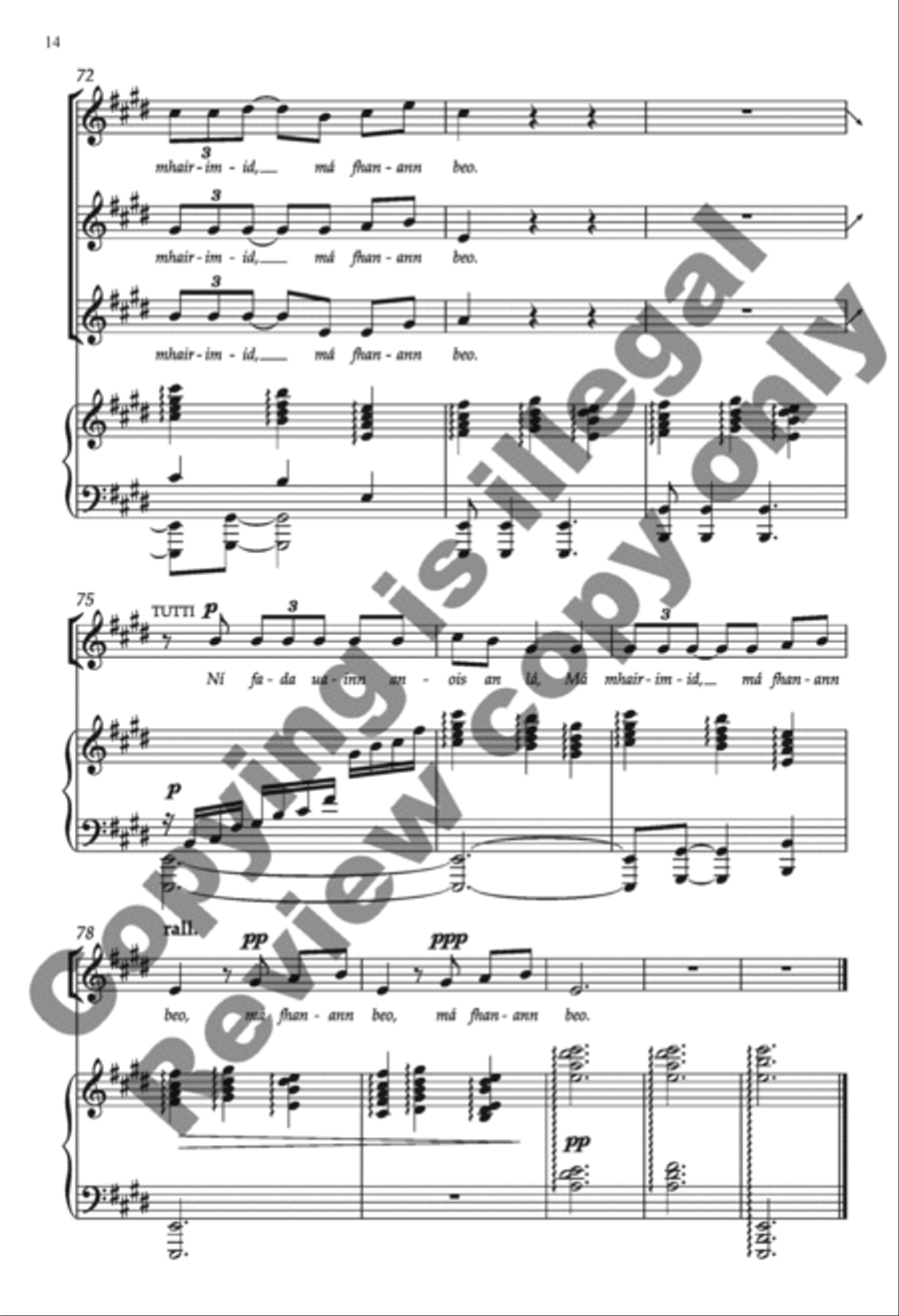 Crossing The Border (Choral Score) SA scores gallery preview page 12