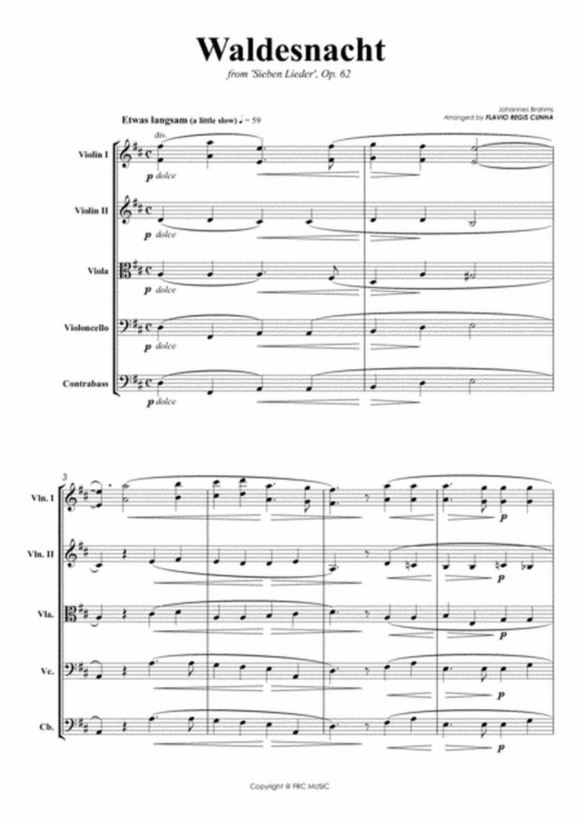 Waldesnacht (from Sieben Lieder Op.62) for String Orchestra image number null