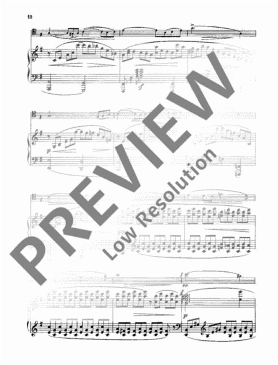 Sonata E minor Sonata E minor Piano Accompaniment scores gallery preview page 15