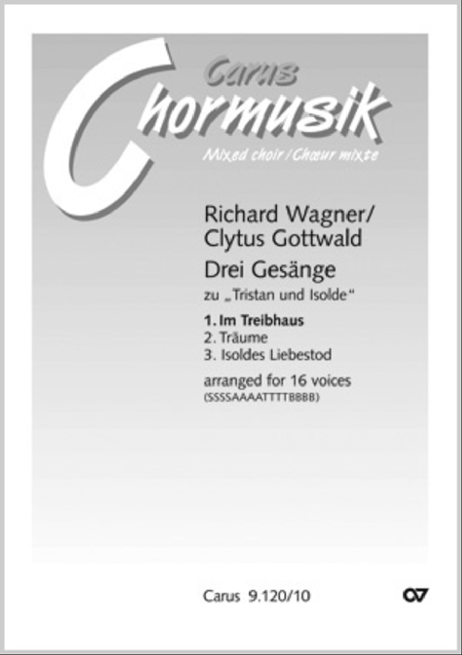 Im Treibhaus Im Treibhaus Choir scores gallery preview page 1