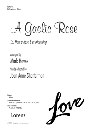 A Gaelic Rose