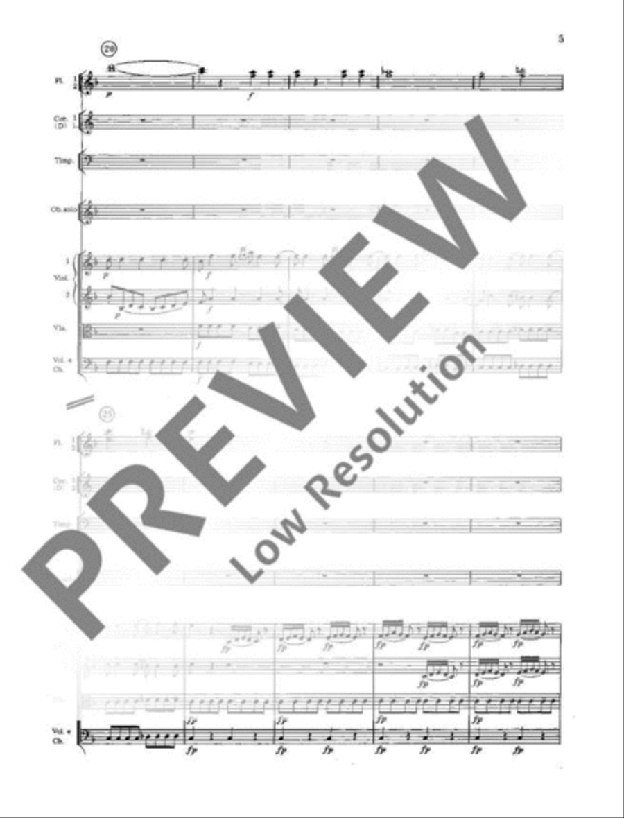 Concerto No. 1 D minor Orchestra scores gallery preview page 6