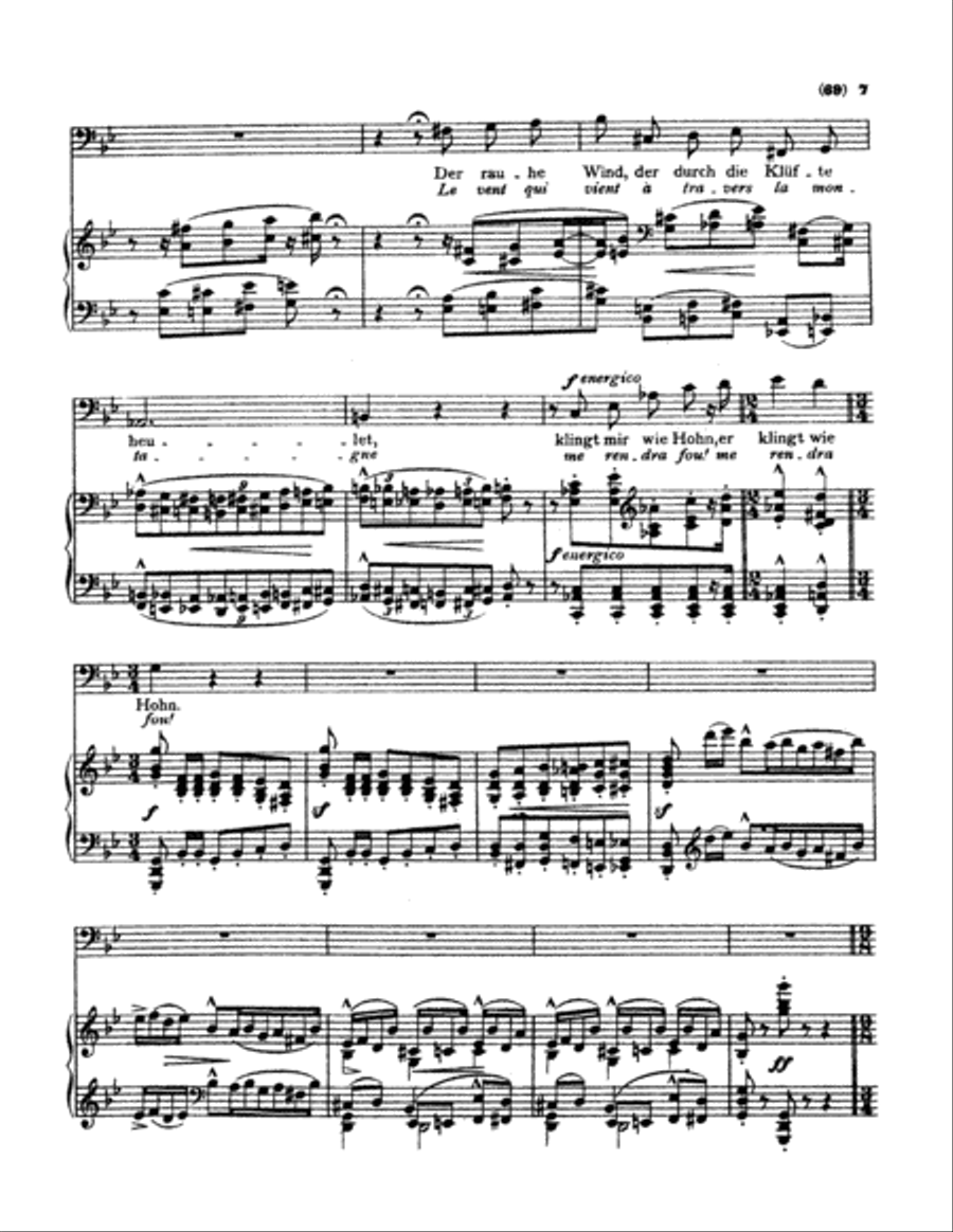 Liszt: Songs, Volume I, Nos. 1-13 (German/French) Voice scores gallery preview page 6