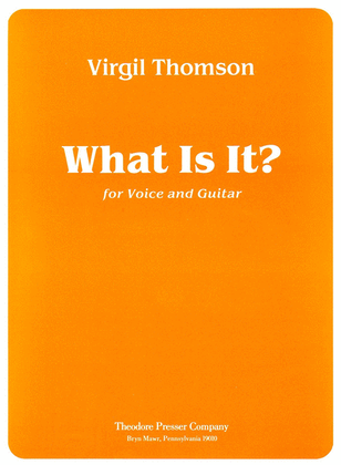 Book cover for What Is It?