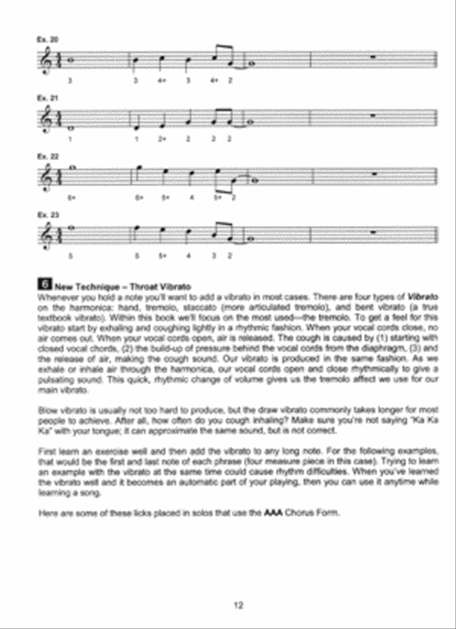 Blues Harmonica Method, Level 1 Harmonica scores gallery preview page 2