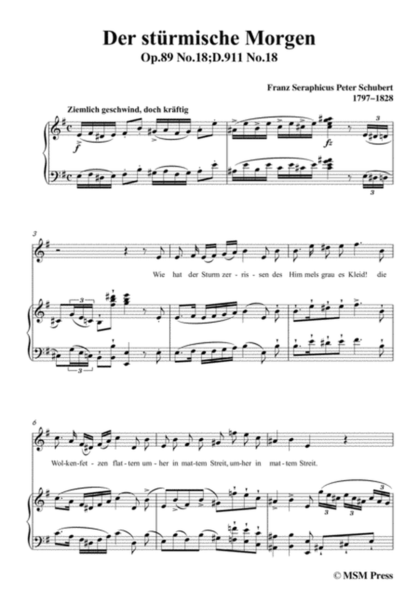 Schubert-Der stürmische Morgen,from 'Winterreise',Op.89(D.911) No.18,in e minor,for Voice&Piano image number null