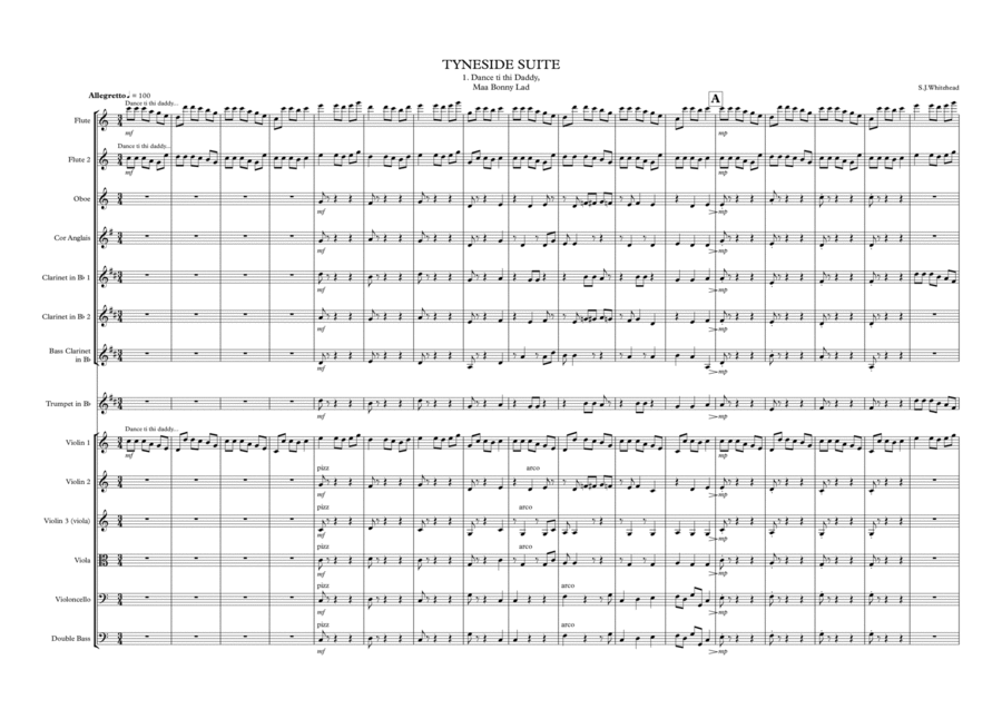 Tyneside Suite Chamber Orchestra scores gallery preview page 1
