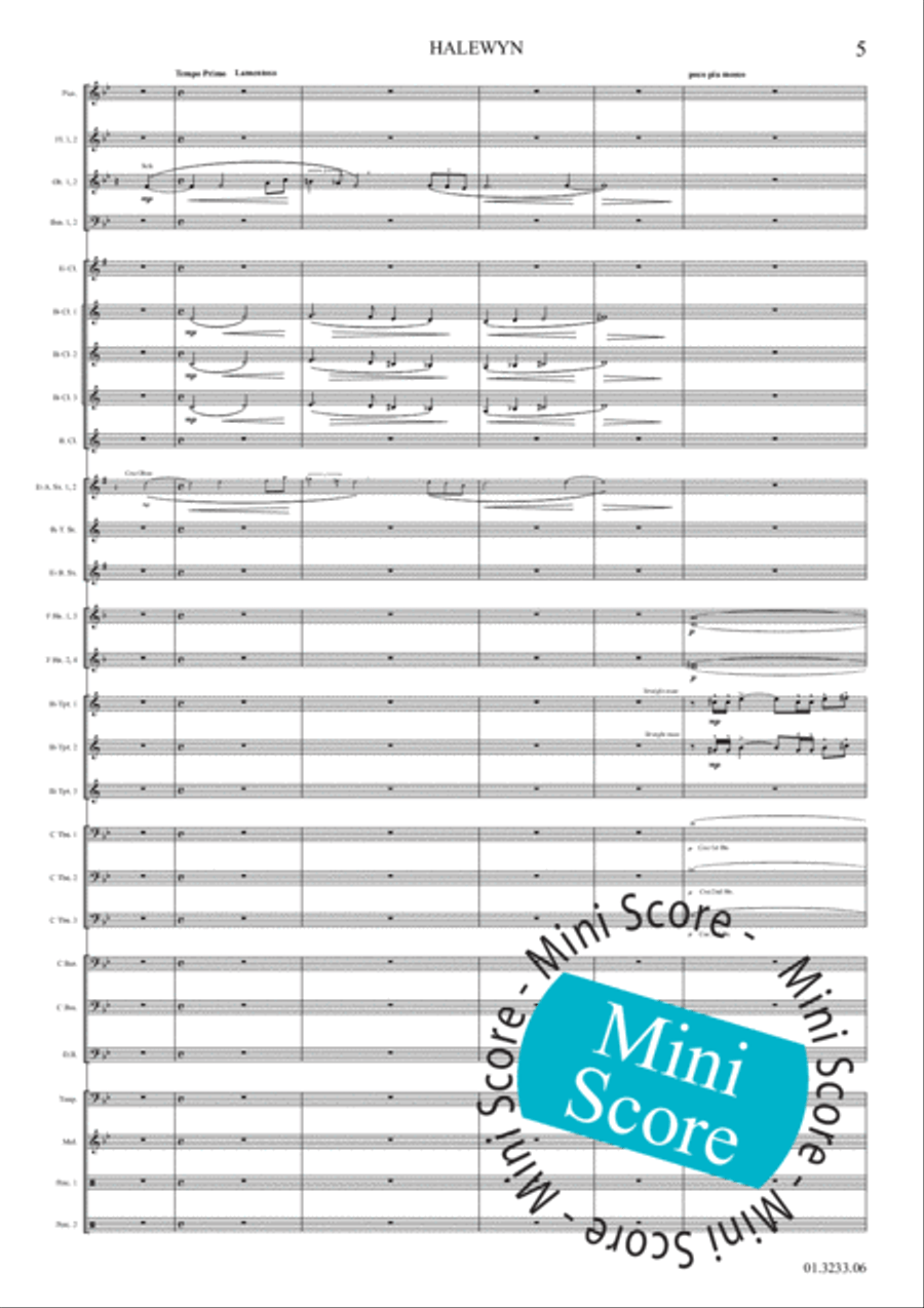 Halewijn Concert Band scores gallery preview page 11