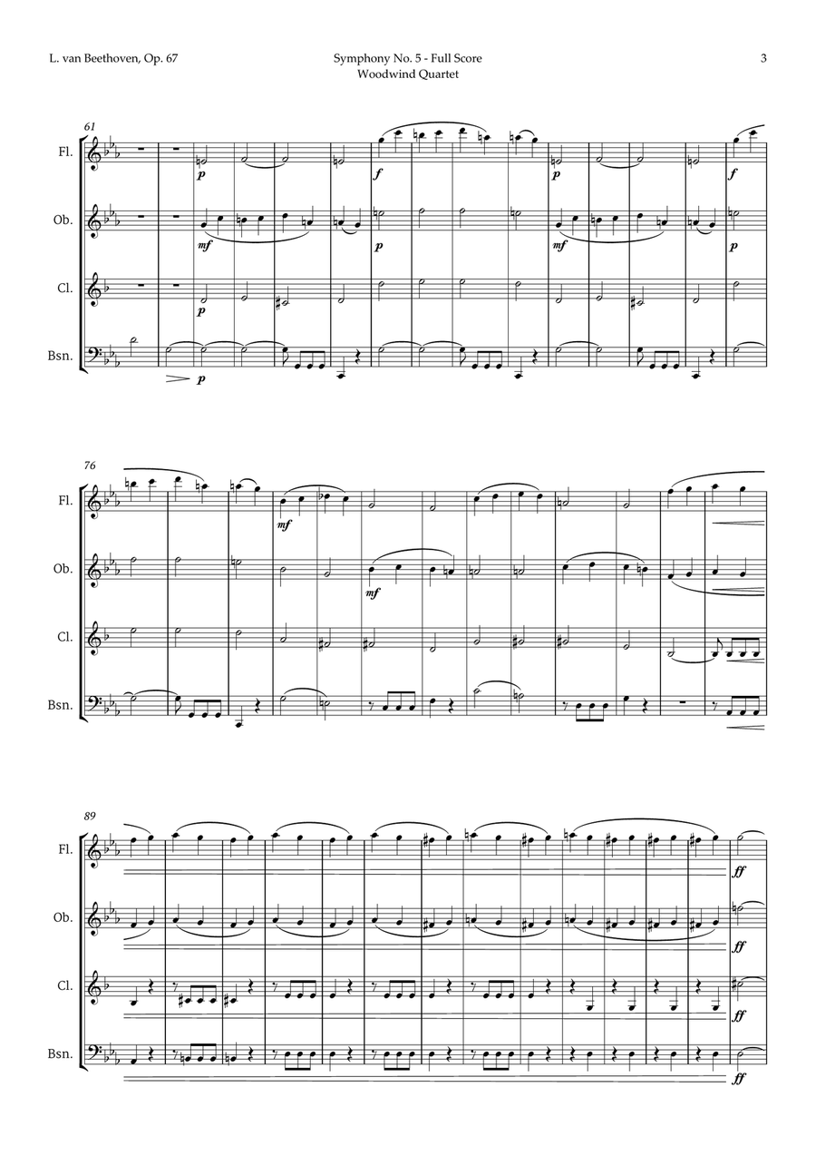 Symphony No. 5 by Beethoven for Woodwind Quartet Woodwind Quartet scores gallery preview page 4