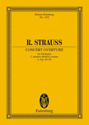 Book cover for Concert Overture C Minor