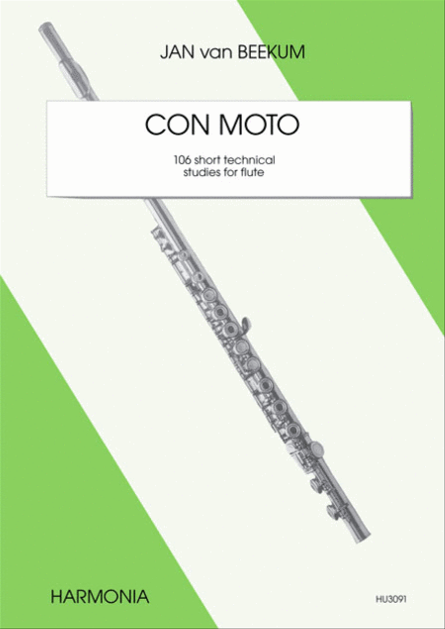 Con moto Flute Solo scores gallery preview page 1