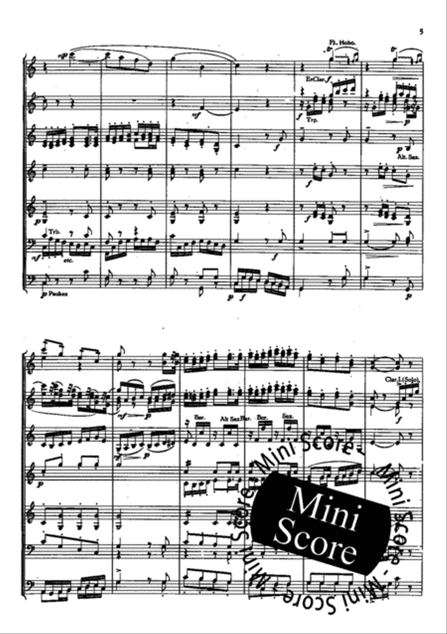 Piet Hein Rhapsodie Concert Band scores gallery preview page 7