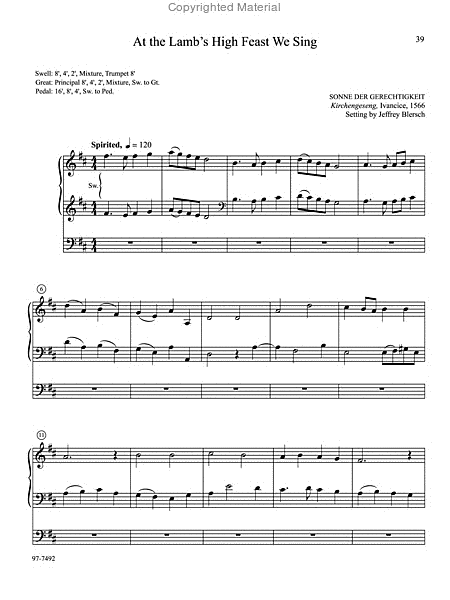 Musica Sacra: Easy Hymn Preludes for Organ, Vol. 8 image number null