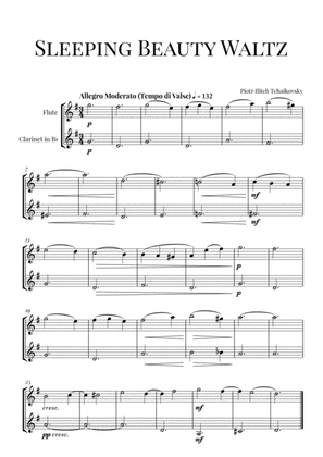 Book cover for Tchaikovsky: Sleeping Beauty Waltz for Flute and Clarinet in Bb Duet (Woodwind Duet)