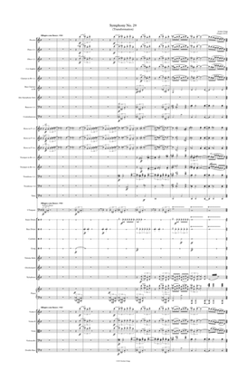 Symphony No.29 (Transformation) Score and parts