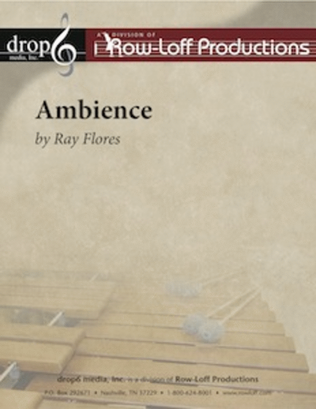 Book cover for Ambience