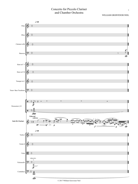 Concerto for Piccolo Clarinet and Chamber Orchestra image number null