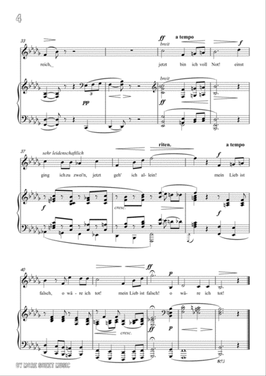 Franz-Im Herbst in b flat minor,for voice and piano Voice Solo scores gallery preview page 6