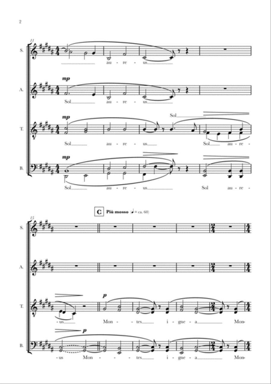 Tota Pulchra Sunt Divisi scores gallery preview page 4