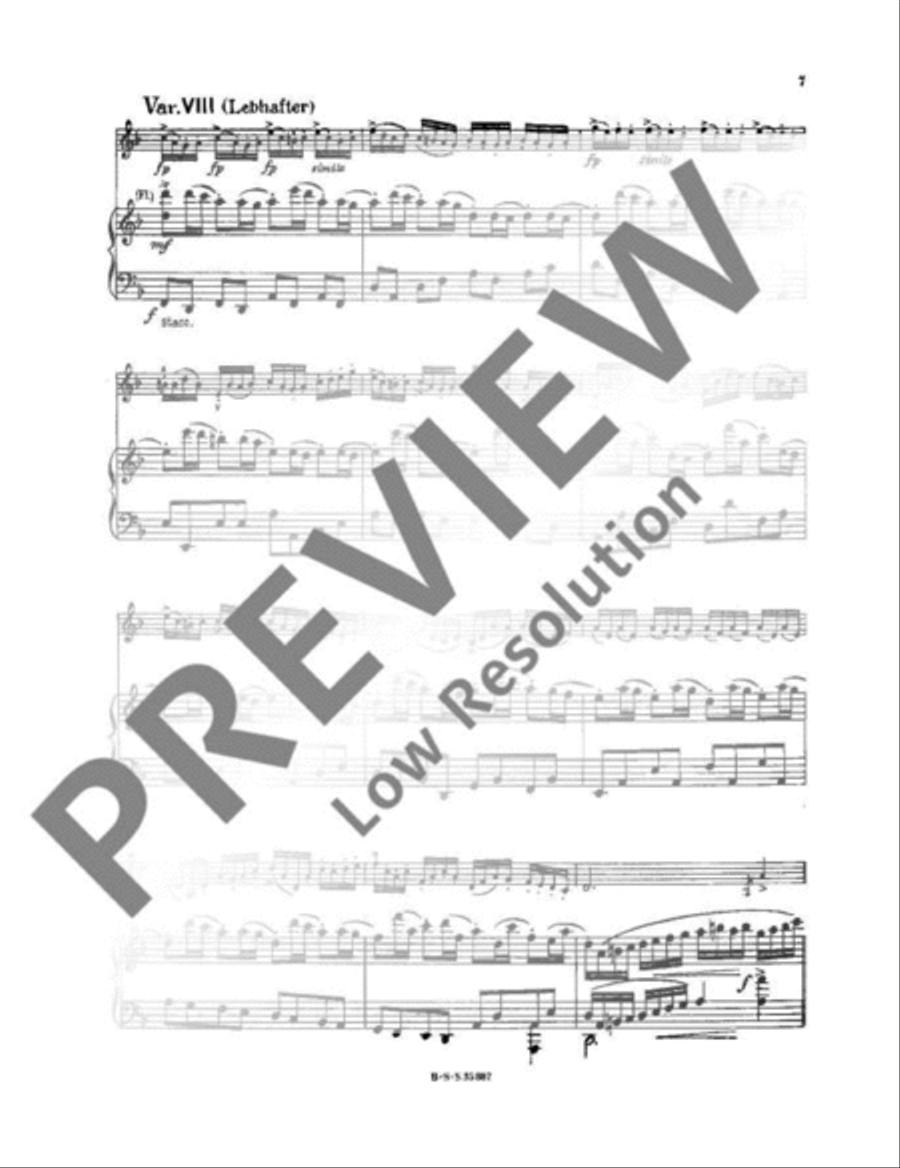 Jagdkonzert Double Bass scores gallery preview page 10
