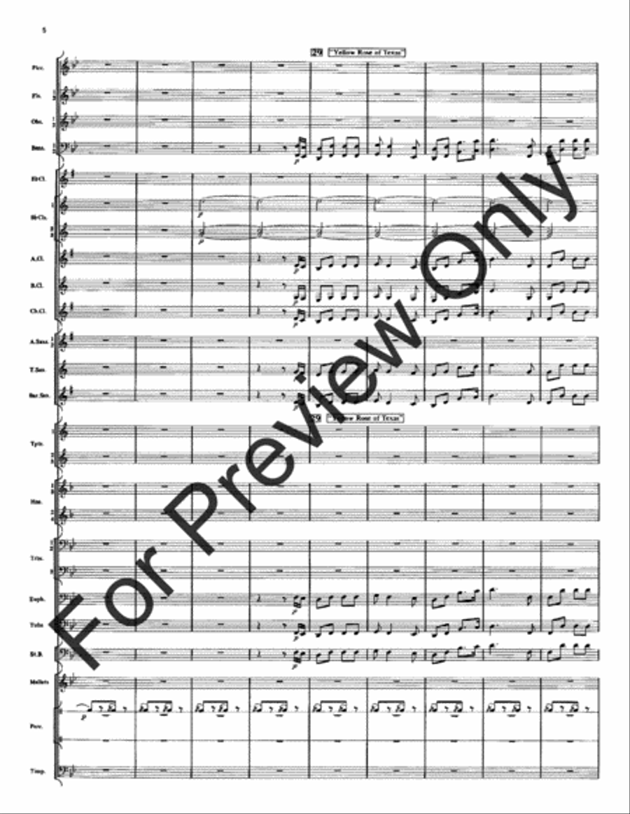 Spirit Of Texas (Score) Spirit Of Texas (Score) Concert Band scores gallery preview page 6