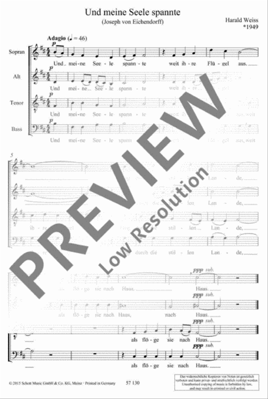 Und meine Seele spannte · Katharsis · Und das Licht scheint in der Finsternis SSATB scores gallery preview page 8