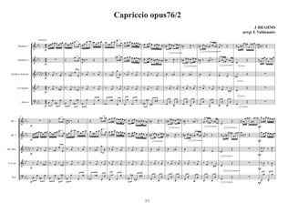 Capriccio opus 76 n°2