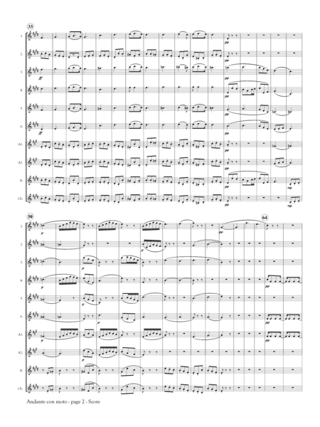 Andante con moto from Symphony No. 8 for Flute Orchestra