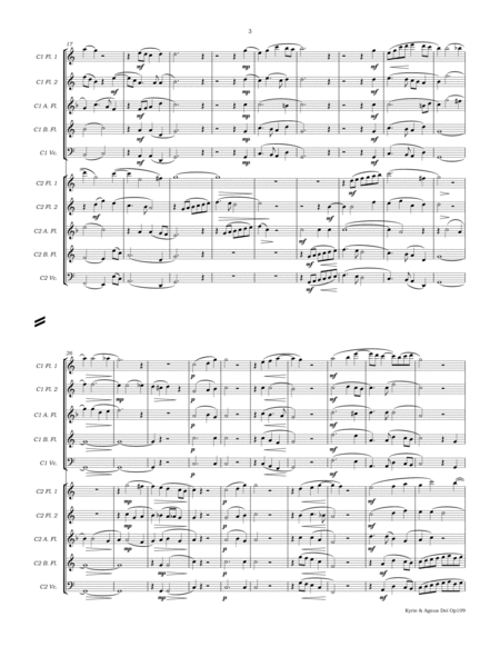 Kyrie & Agnus Dei Op109 for Flute Choir image number null