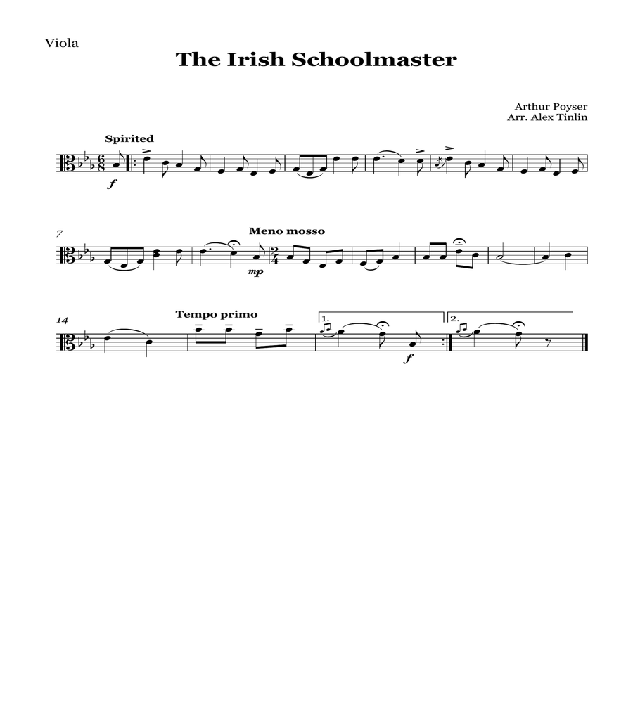 The Irish Schoolmaster image number null