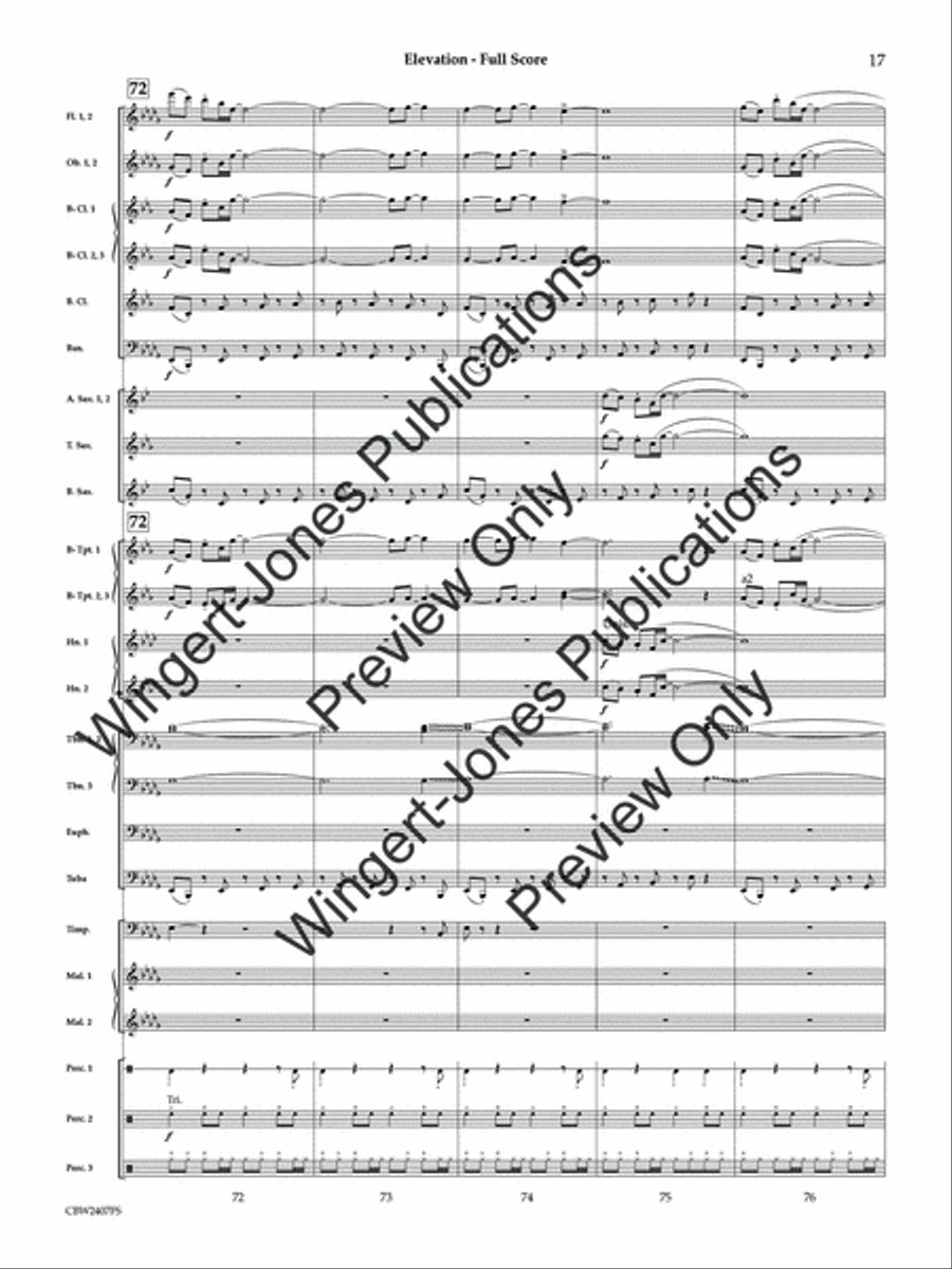 Elevation (Score) Concert Band scores gallery preview page 18