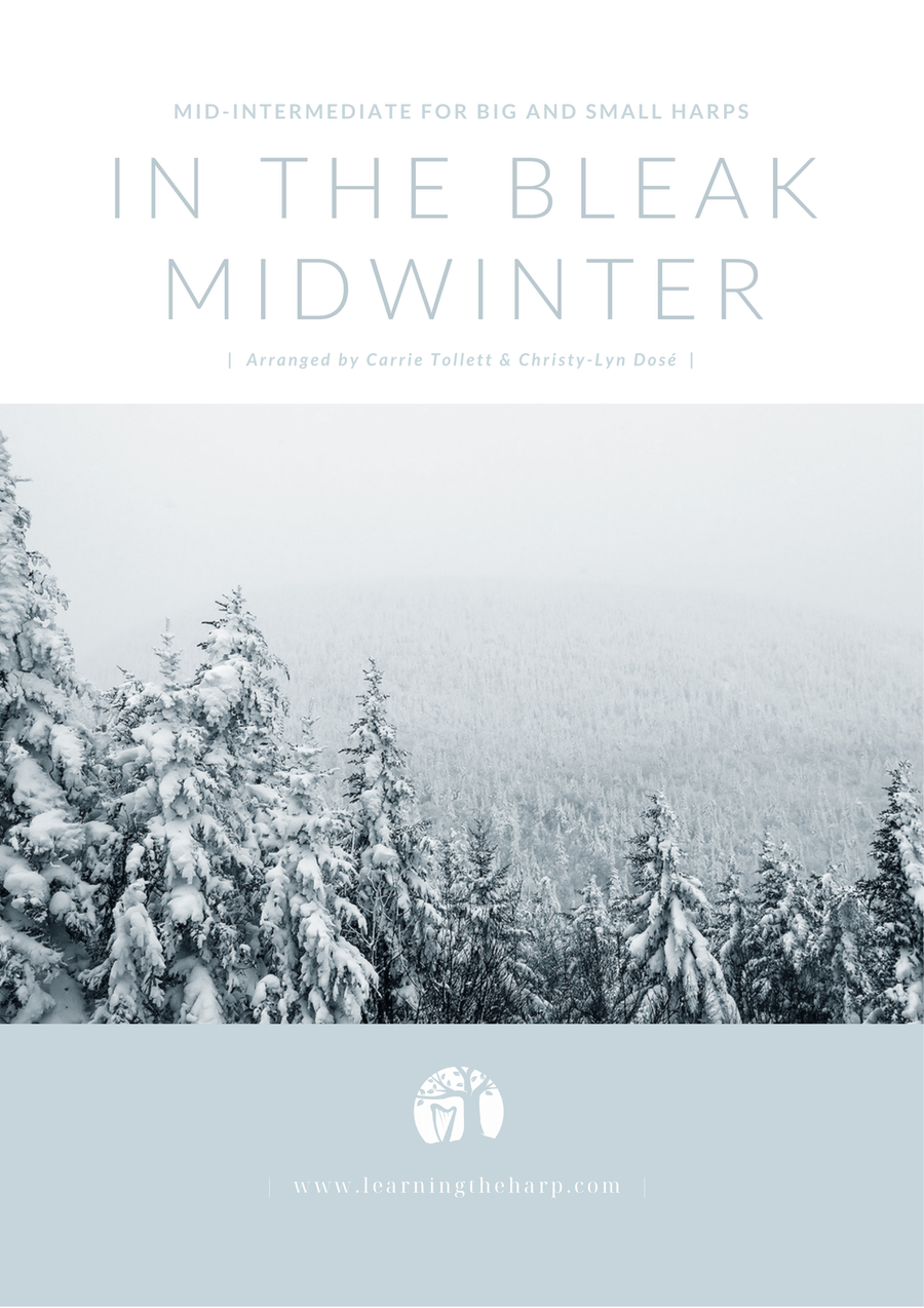 Book cover for In The Bleak Midwinter