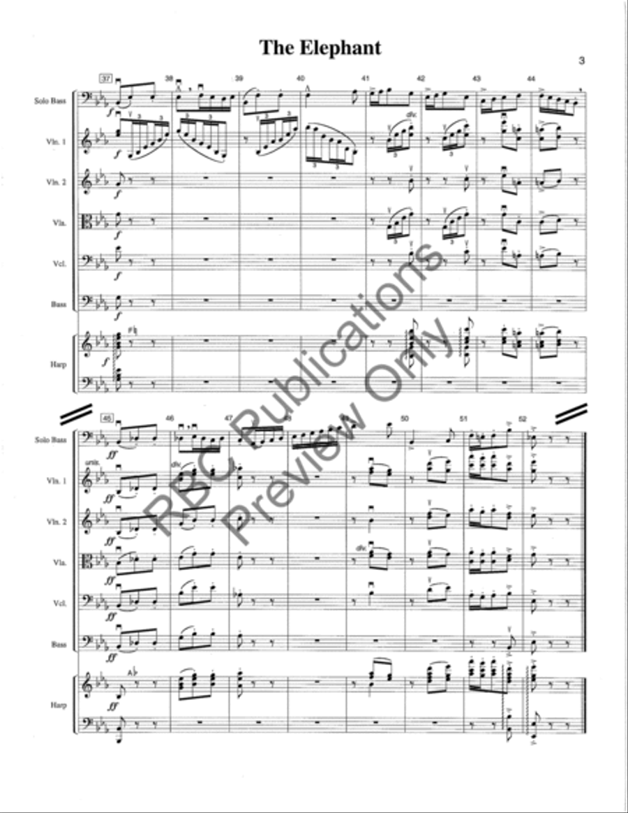 Elephant Solo Bass/ (Score) String Orchestra scores gallery preview page 6