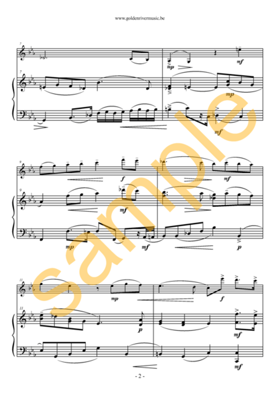 Un consuelo nocturno / Nocturnal consulation for violin Violin Solo scores gallery preview page 3