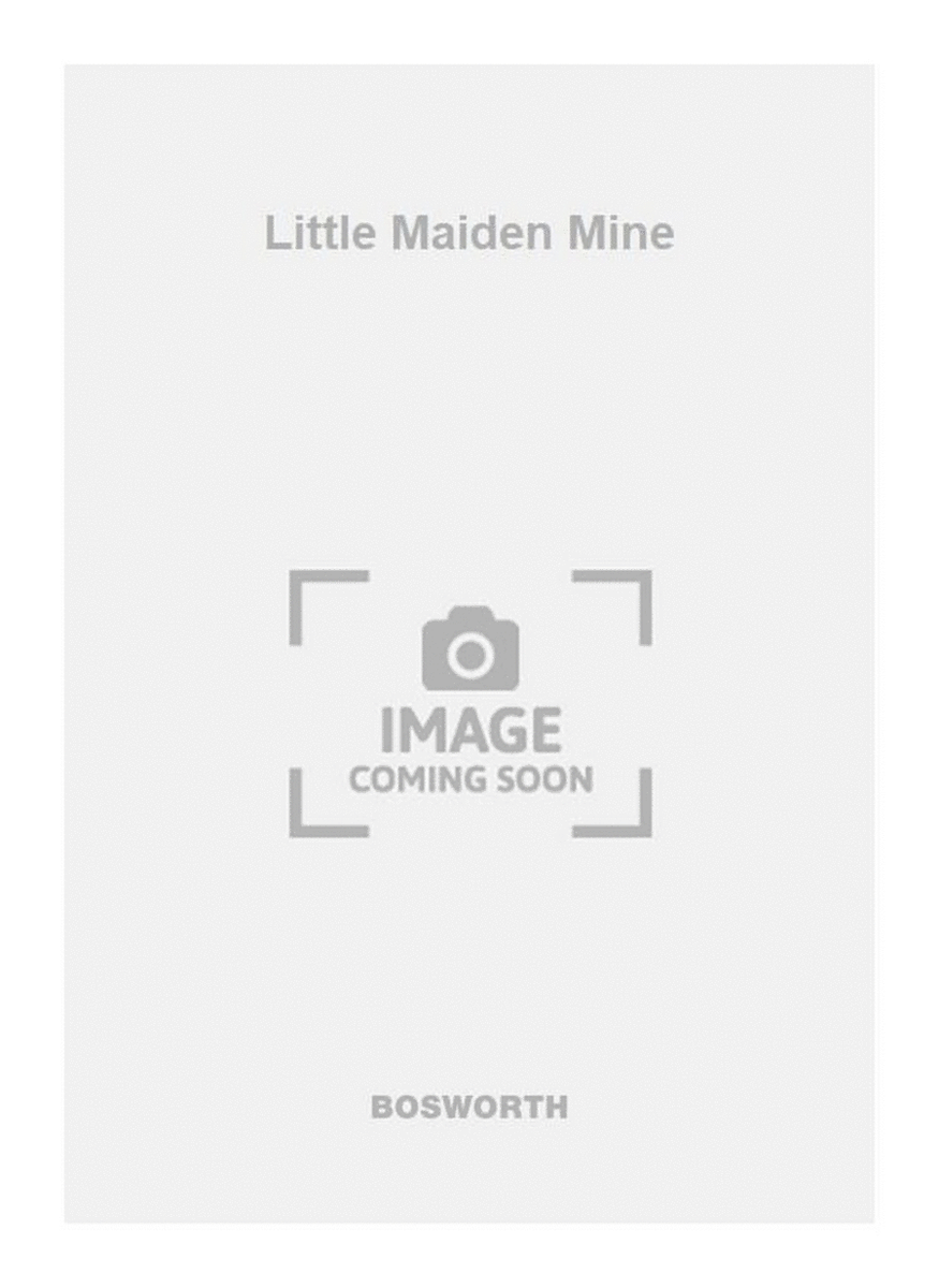 Little Maiden Mine