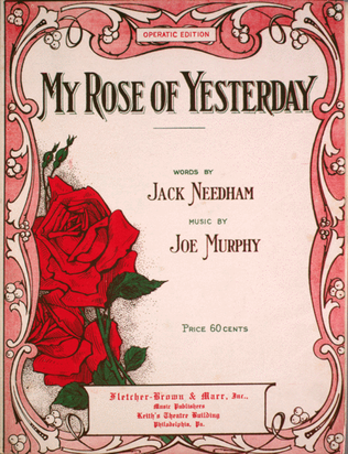 My Rose of Yesterday
