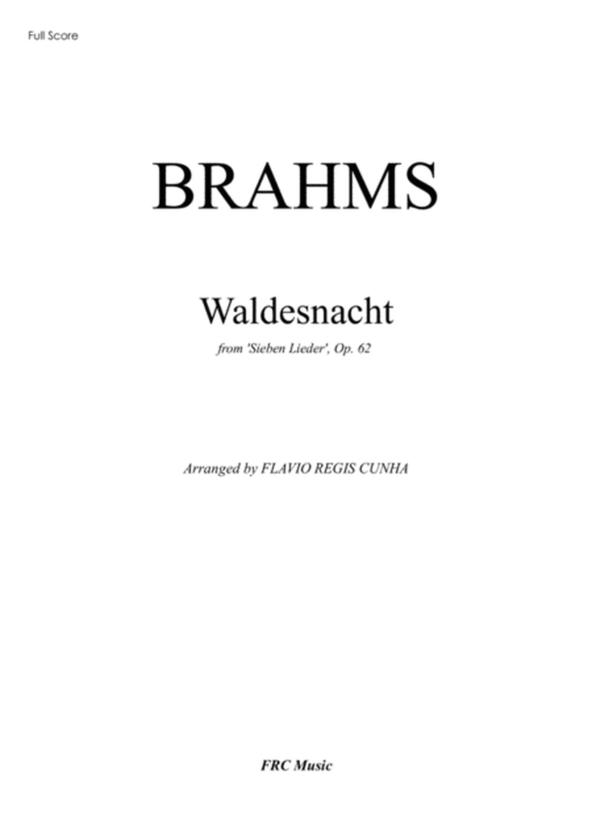 Waldesnacht (from Sieben Lieder Op.62) for String Orchestra image number null