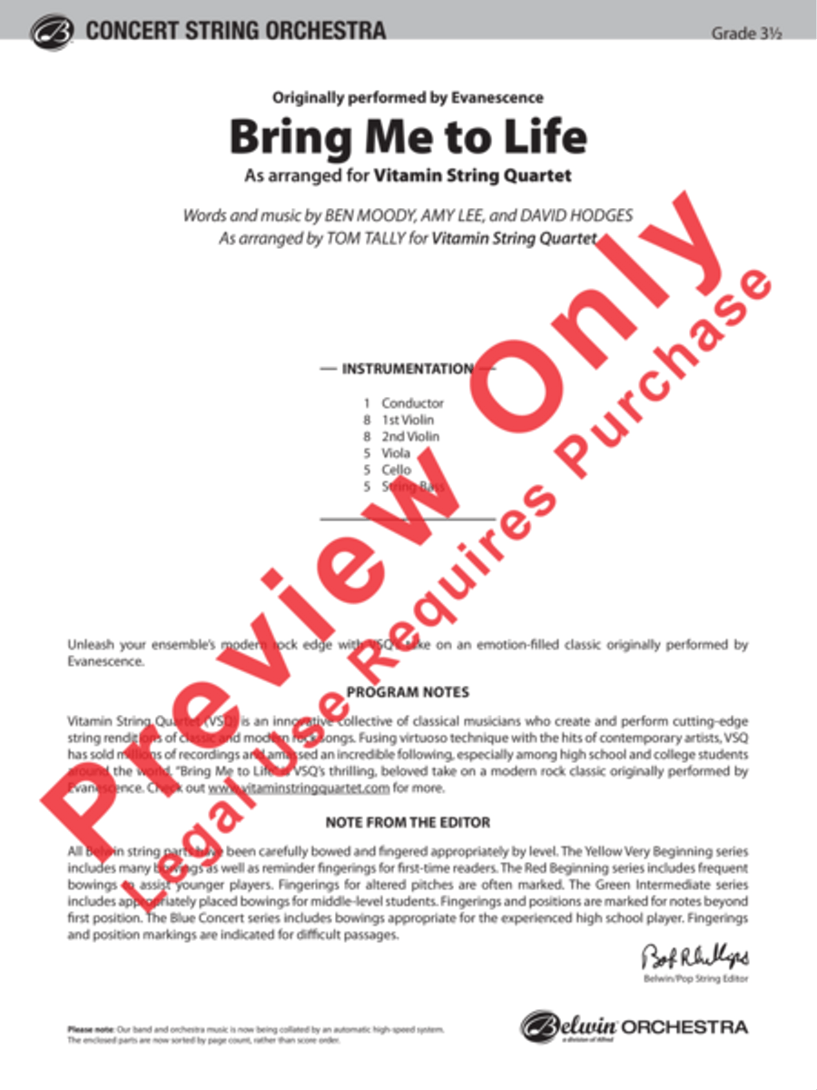 Bring Me to Life String Orchestra scores gallery preview page 2