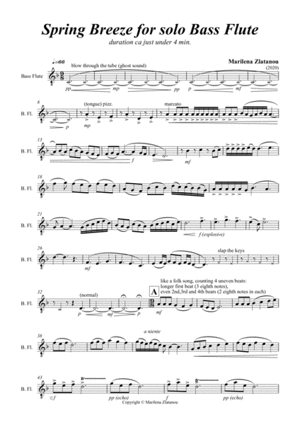 SPRING BREEZE for solo bass flute image number null