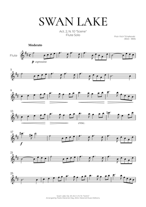 Swan Lake (Flute Solo) - Tchaikovsky