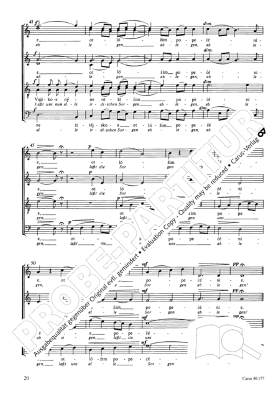 Neun liturgische Chore Neun liturgische Chore Collection / Songbook scores gallery preview page 21