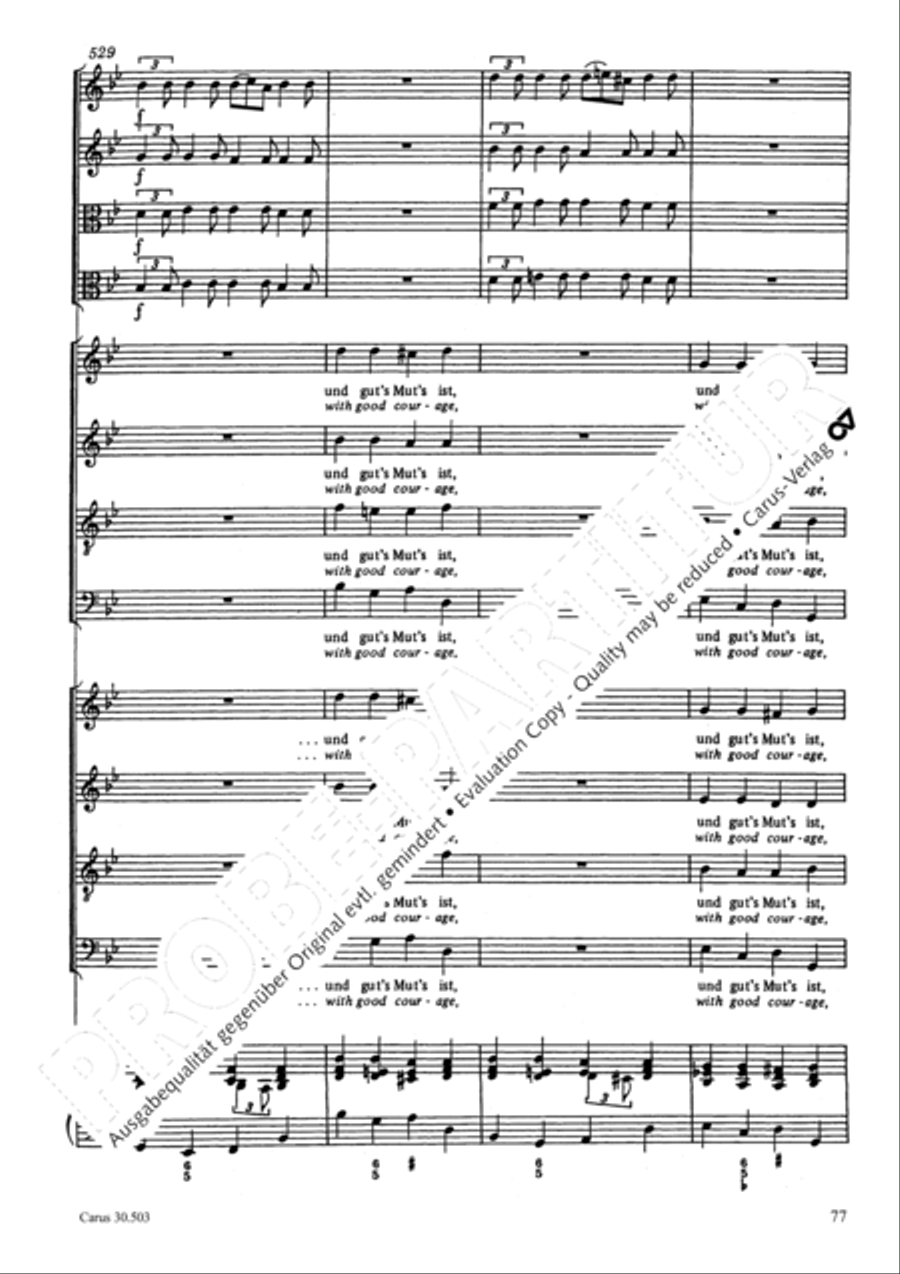 My beloved, you are fair (Meine Freundin, du bist schon) 4-Part scores gallery preview page 80